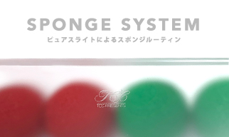 スポンジ・システム