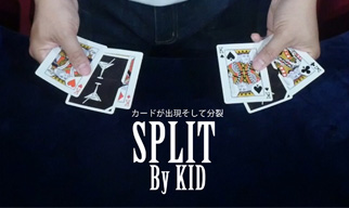 ロイヤル・ロード・トゥ・カードマジック DVD 6枚組 ロイヤル・ロード・トゥ・カードマジック DVD 6枚組 その他